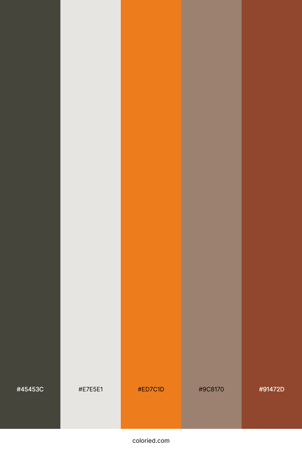 Charcoal and Tangerine Color Palette