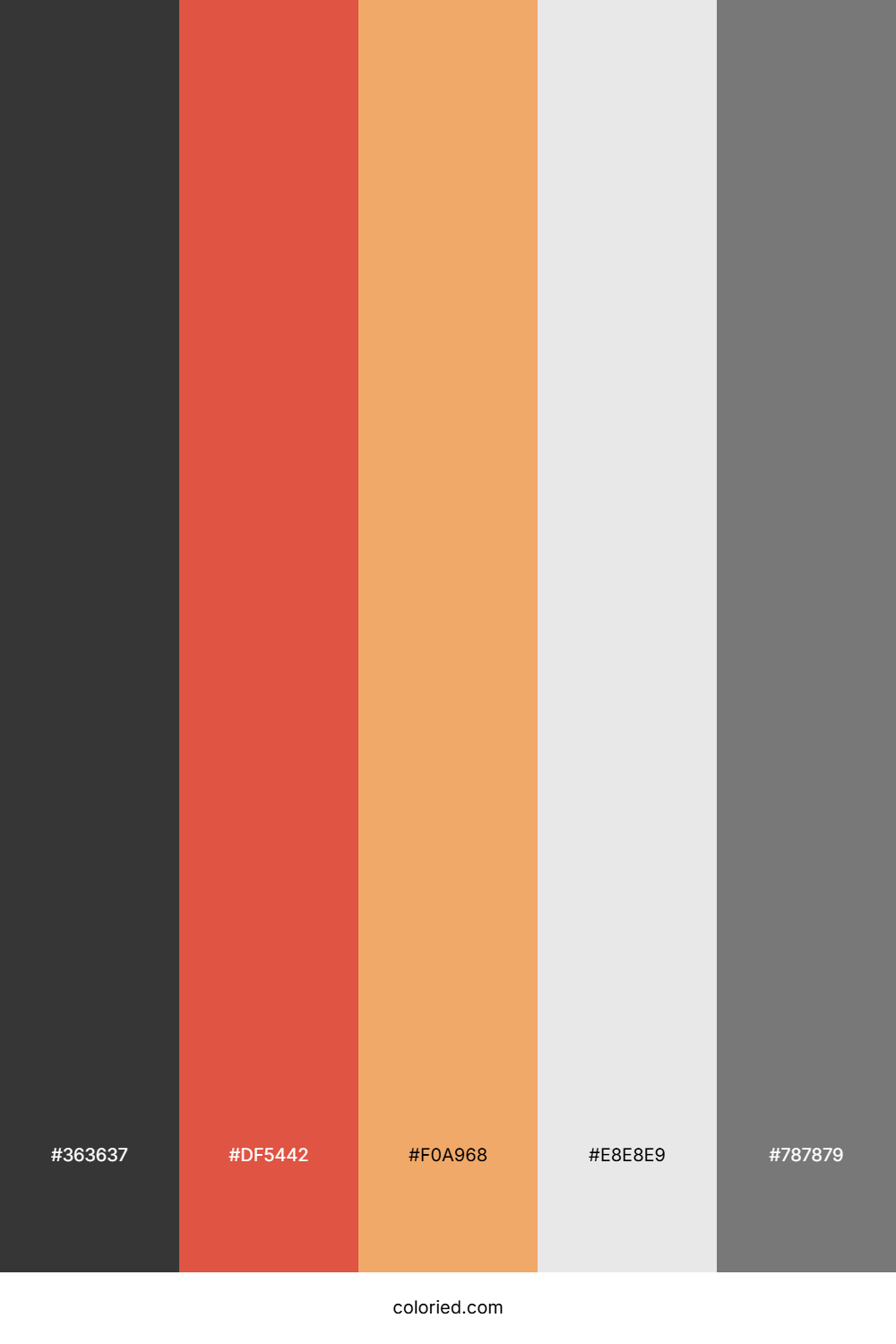 Charcoal Coral Drift Color Palette