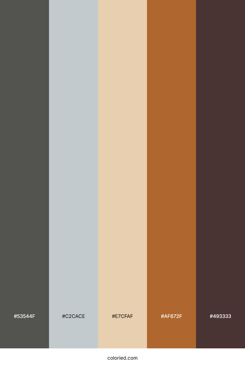 Charcoal Driftwood Haze Color Palette