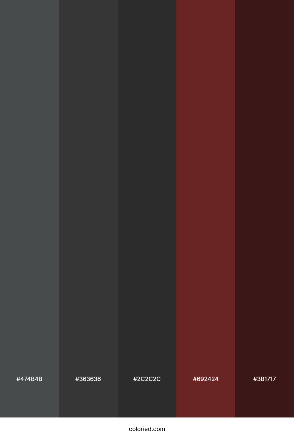 Charcoal Ember Color Palette