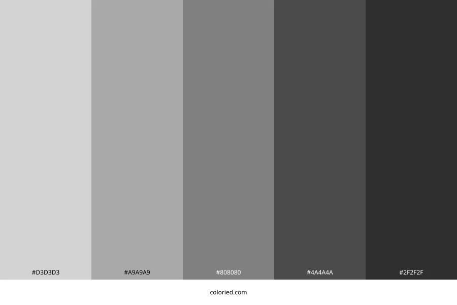 Charcoal Gray Color Palette