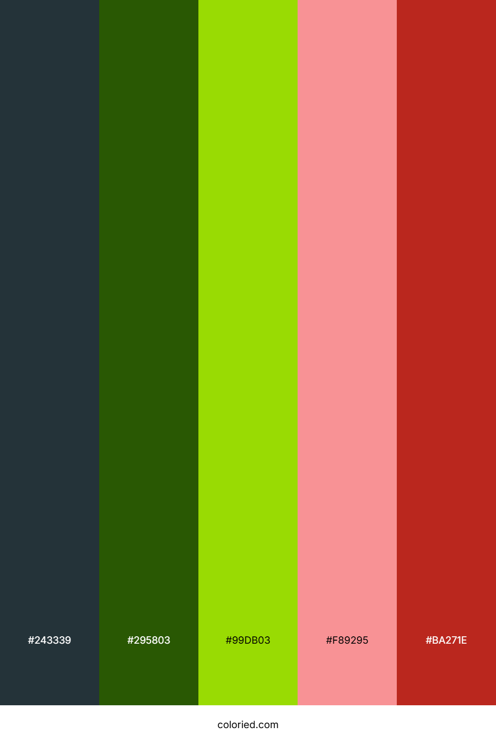 Charcoal Lime Blaze Color Palette