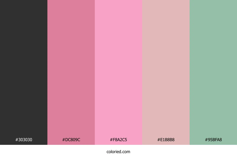Charcoal Pink Mist Color Palette