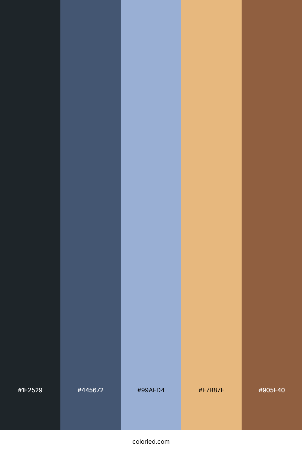 Charcoal Slate Sunrise Color Palette