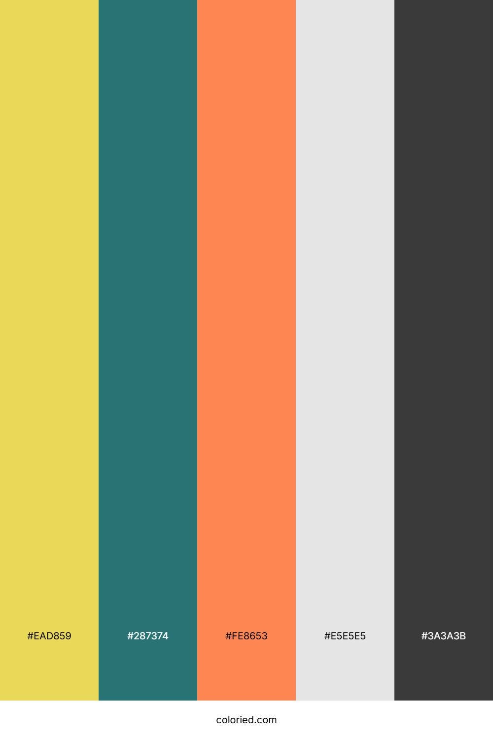 Charcoal Sunset Haze Palette