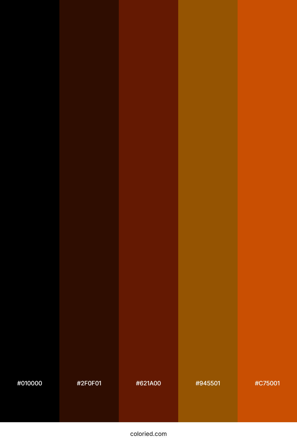 Charred Wood Ember Color Palette