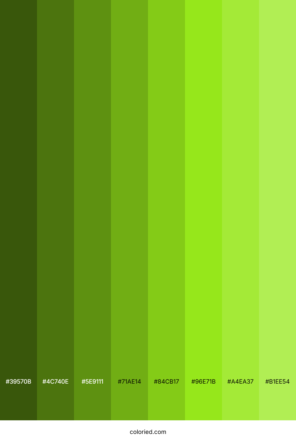 Chartreuse Shades