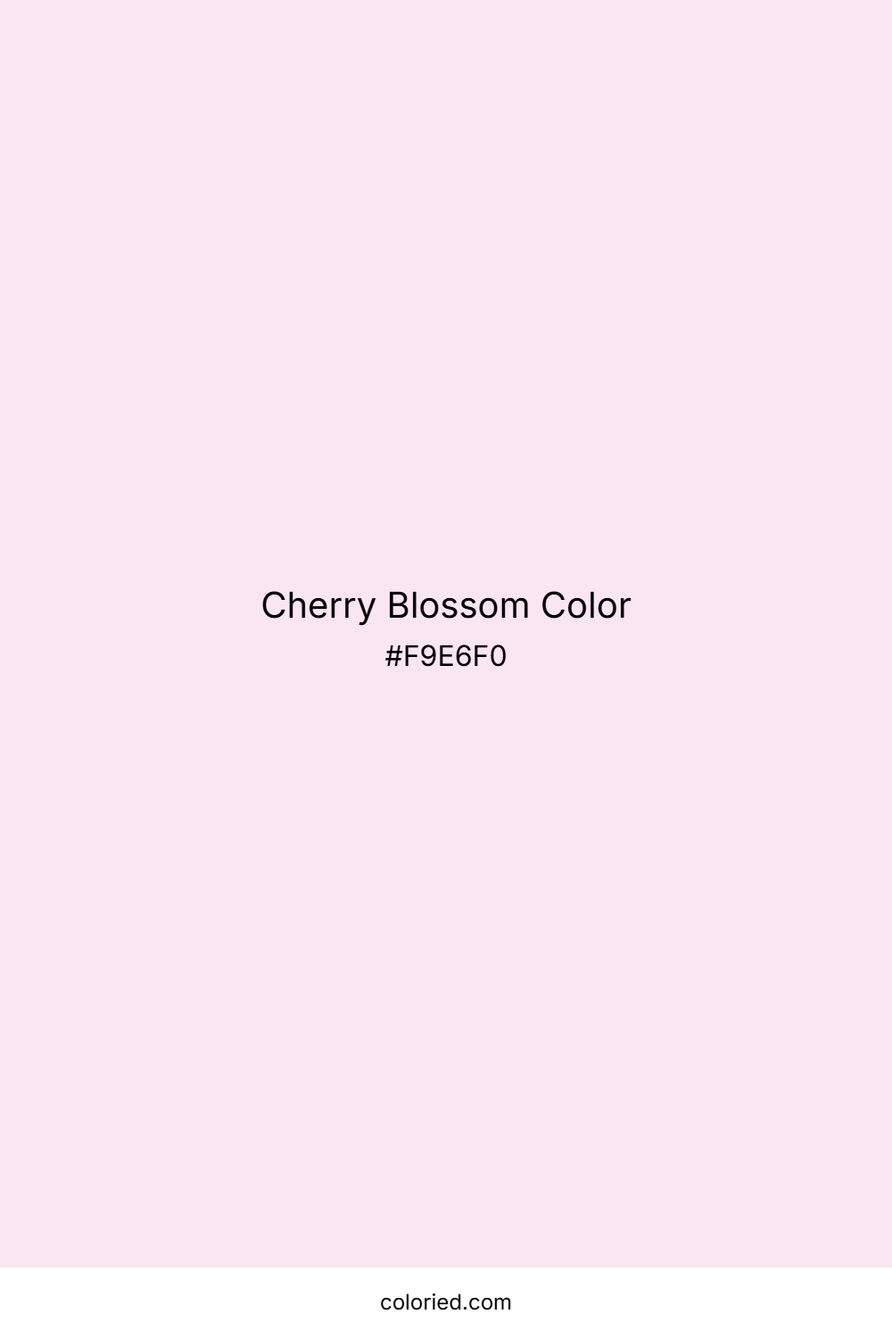 Cherry Blossom Color