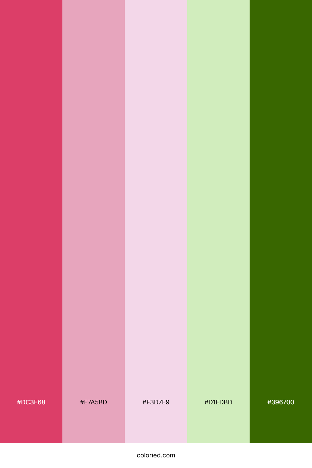 Cherry Blossom Vine Color Palette