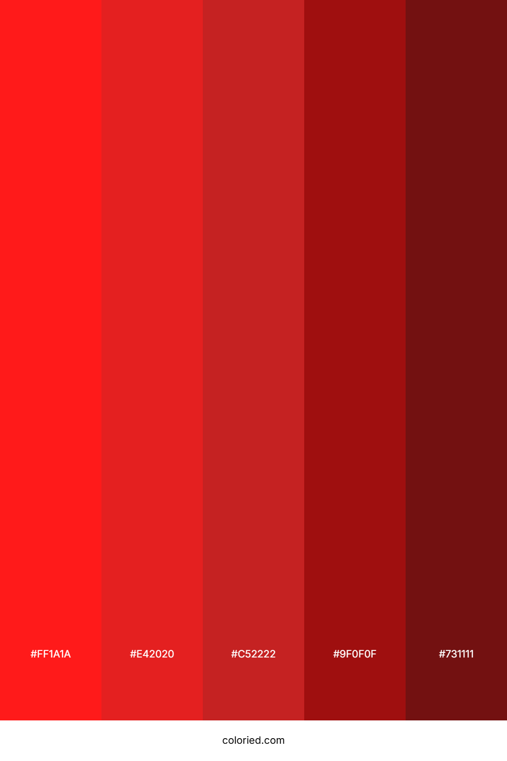 Cherry Red and Dark Crimson Color Palette