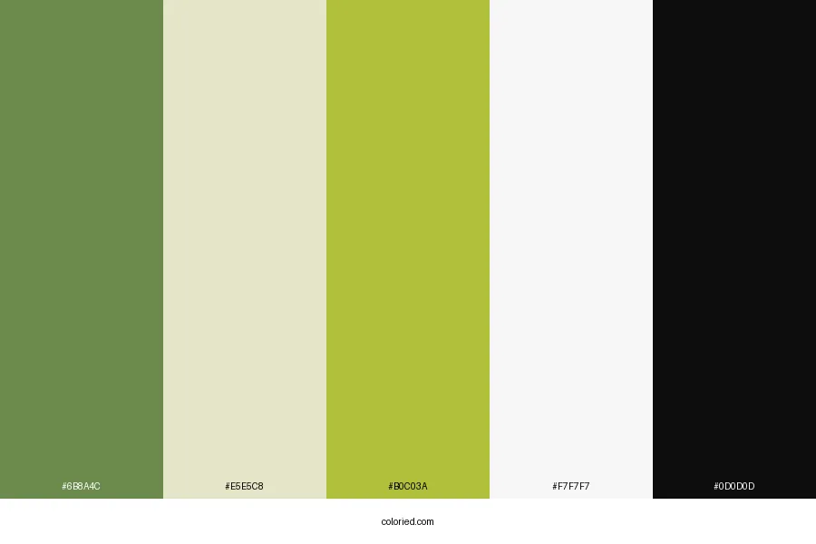 Chess Board Color Palette