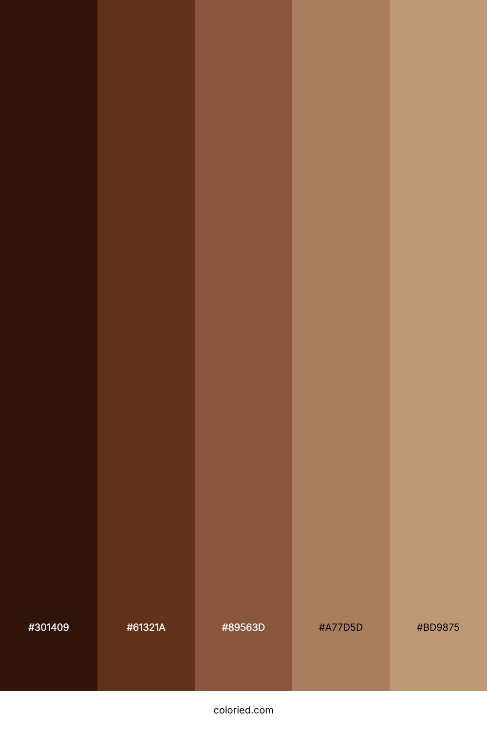 Chestnut And Sandstone Color Palette