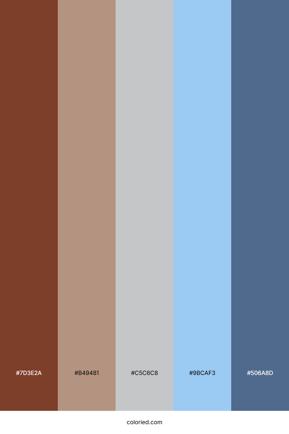 Chestnut Cloud Blue Color Palette