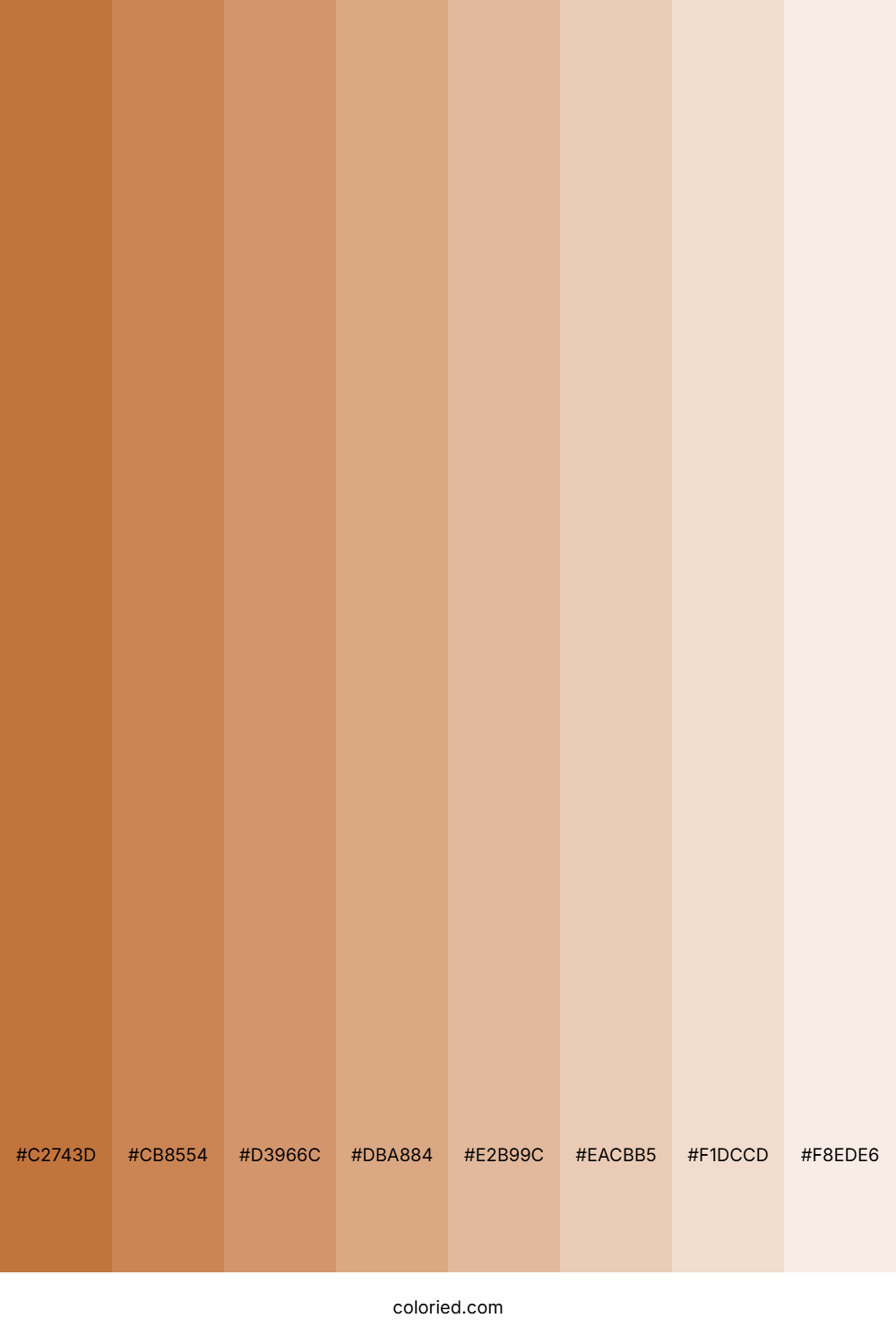 Chestnut Shades