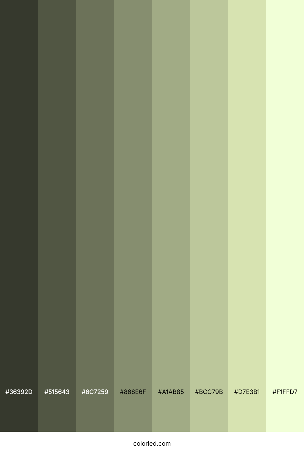 Chiffon Color Shades