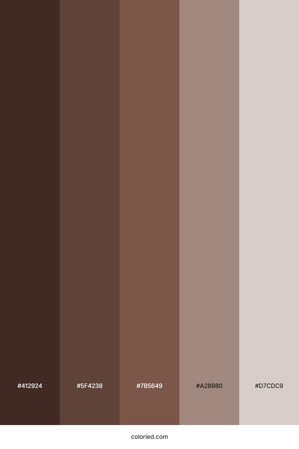 Chocolate Gradient Color Palette