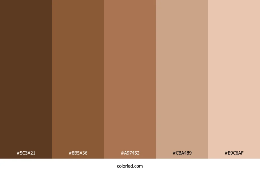 Chocolate Skin Color Palette