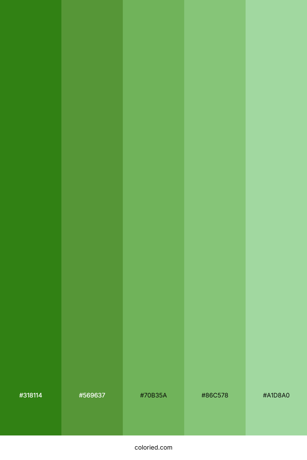 Christmas Green and Forest Green Color Palette