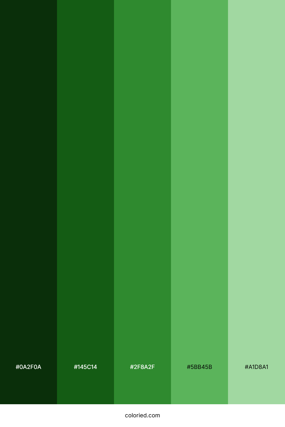 Christmas Green Color Palette