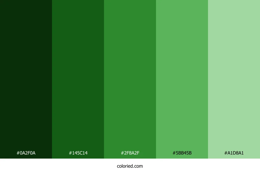 Christmas Green Color Palette