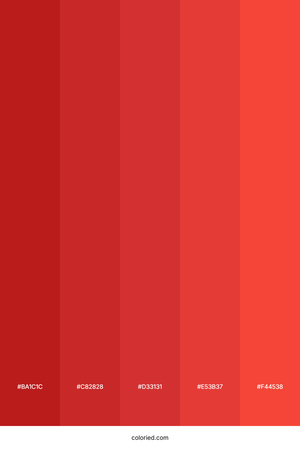 Christmas Red Color Palette