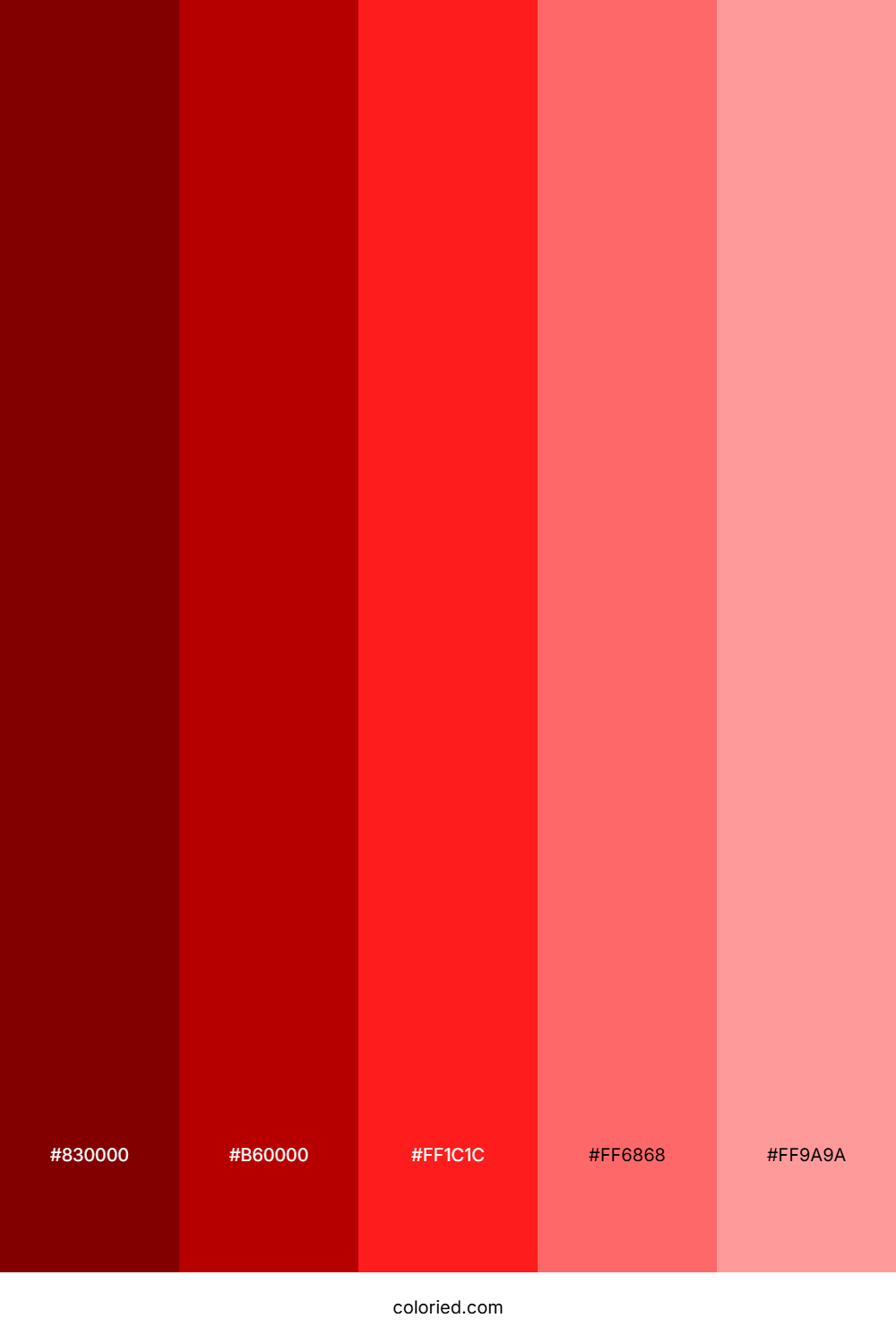 Christmas Reds Color Palette