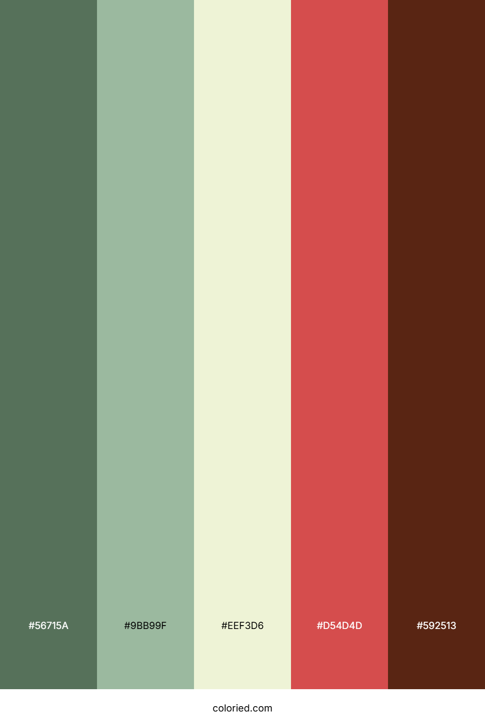 Christmas Twilight Bloom Color Palette