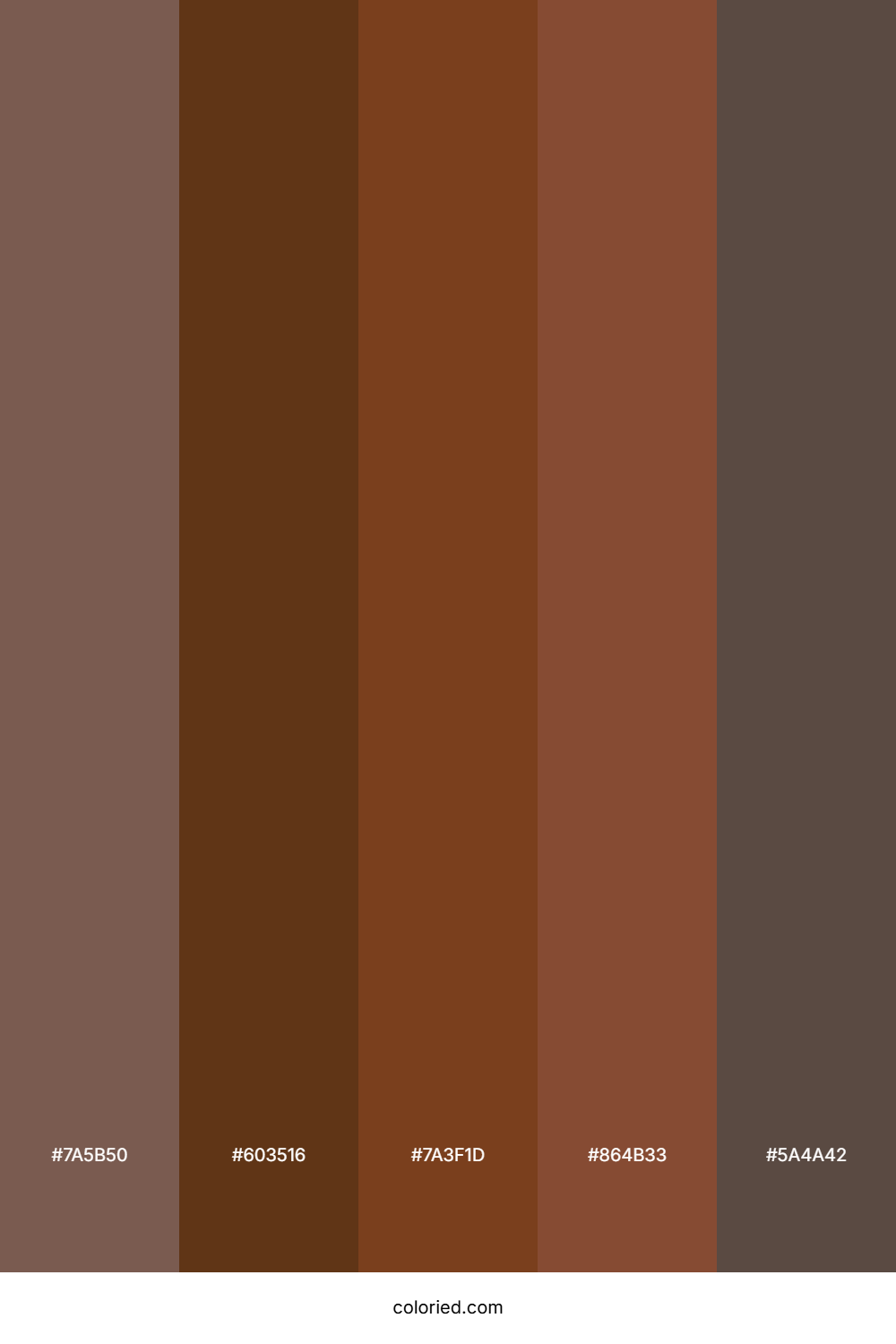 Cinnamon and Chestnut Color Palette