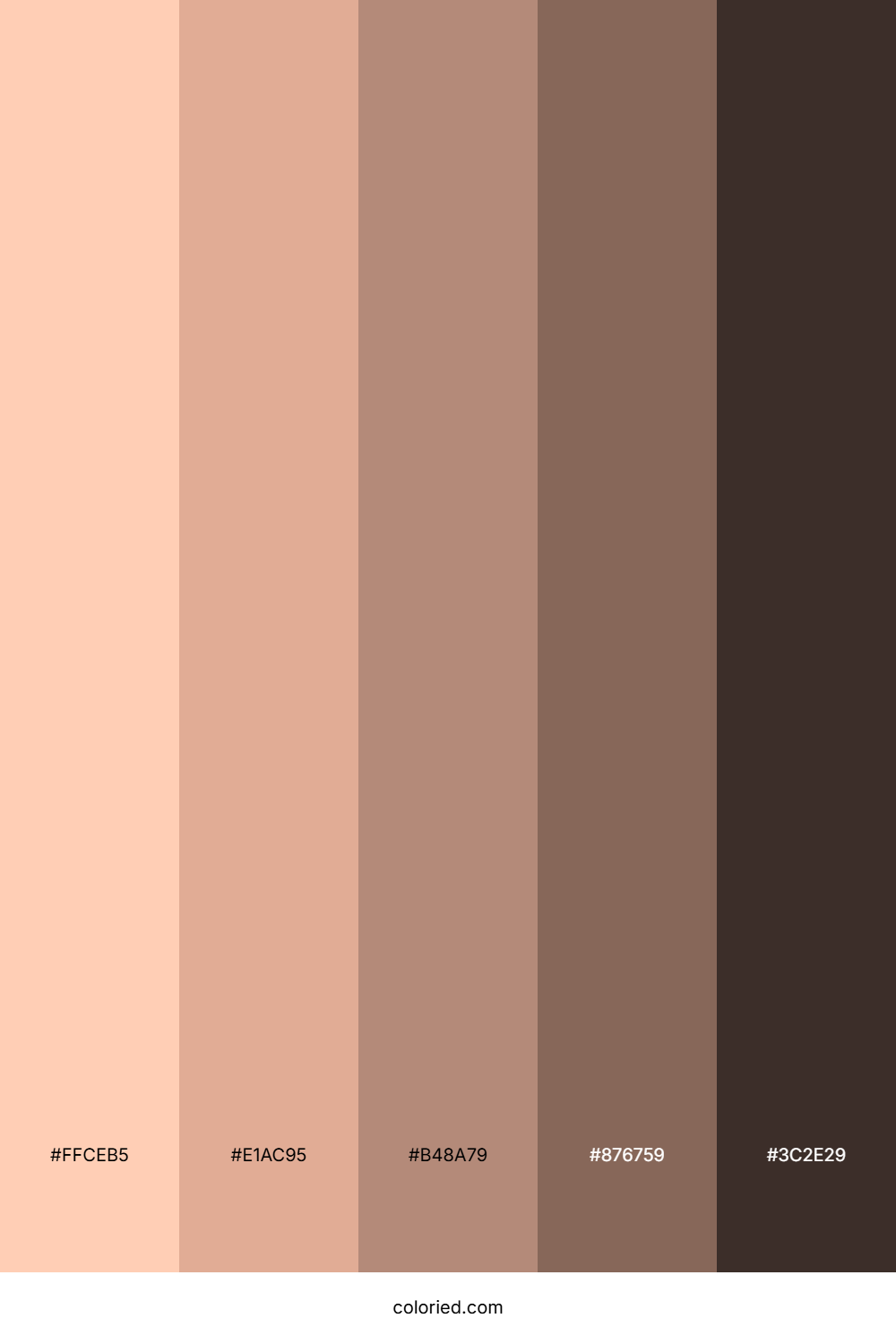 Cinnamon Drift Brown Color Palette