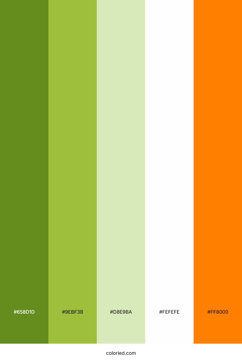Citrus Grove Meadow Color Palette