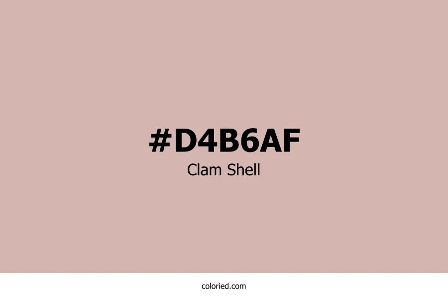 Clam Shell Color