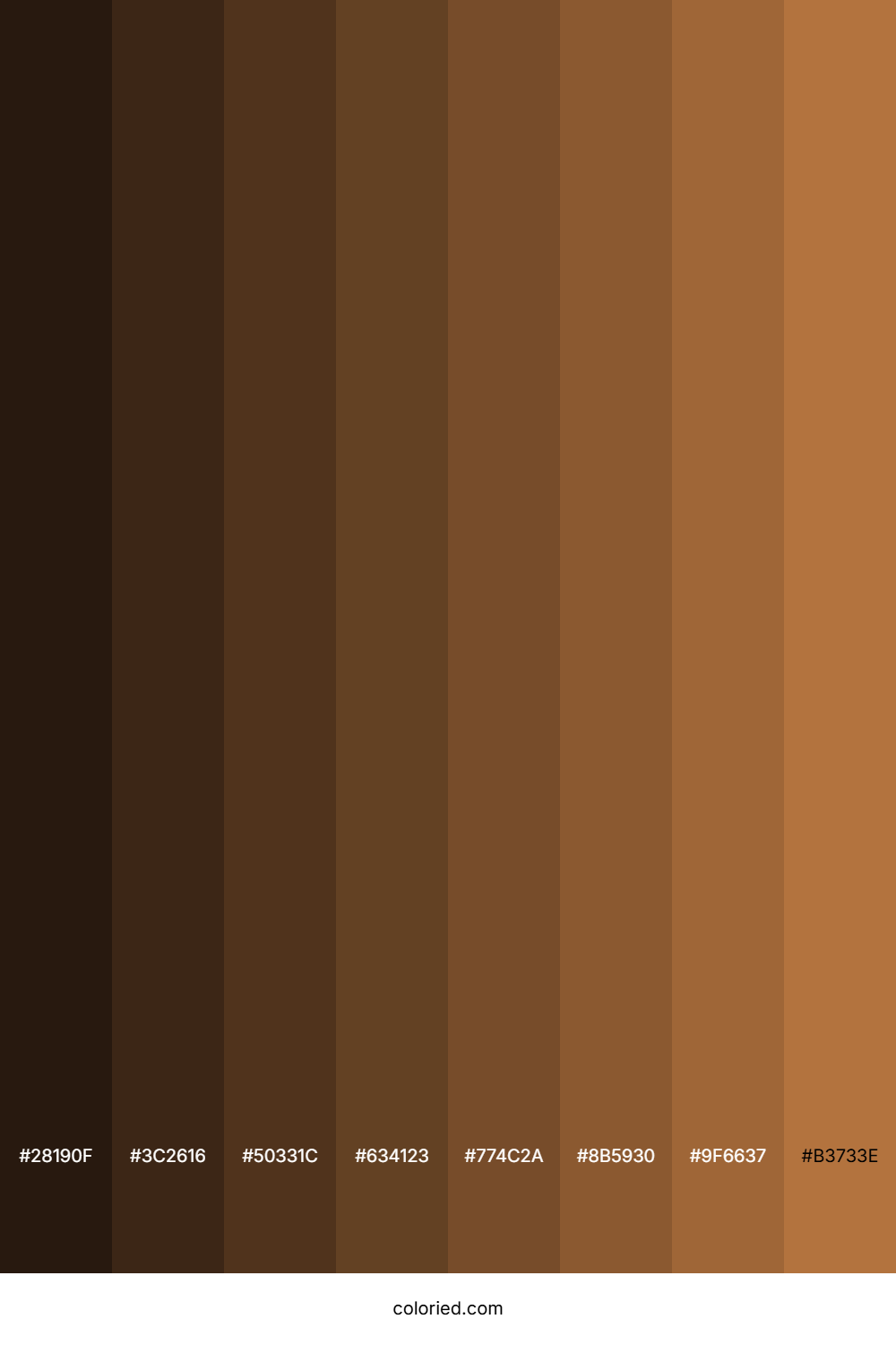 Clay Brown Color Shades