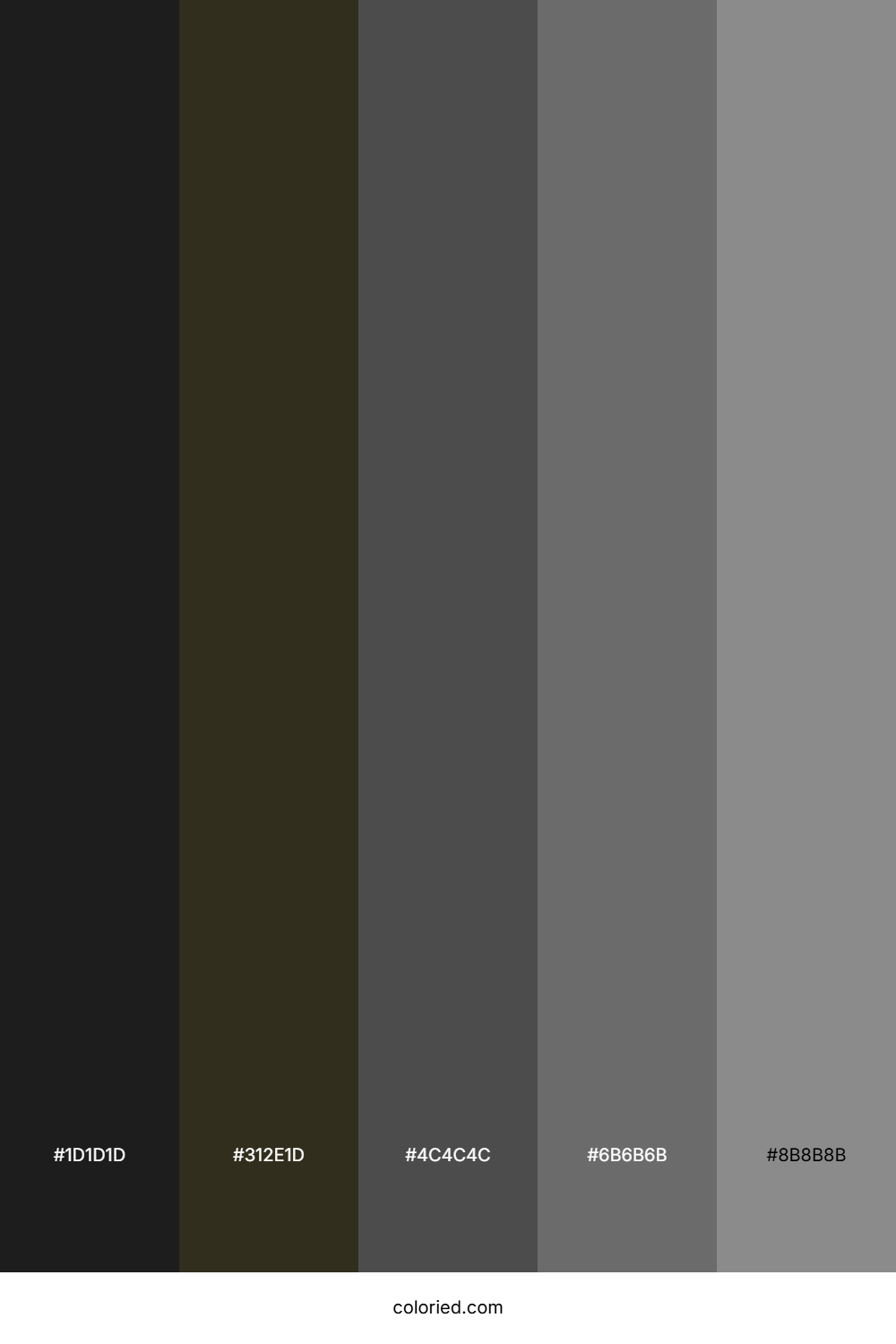 Coal Color Palette