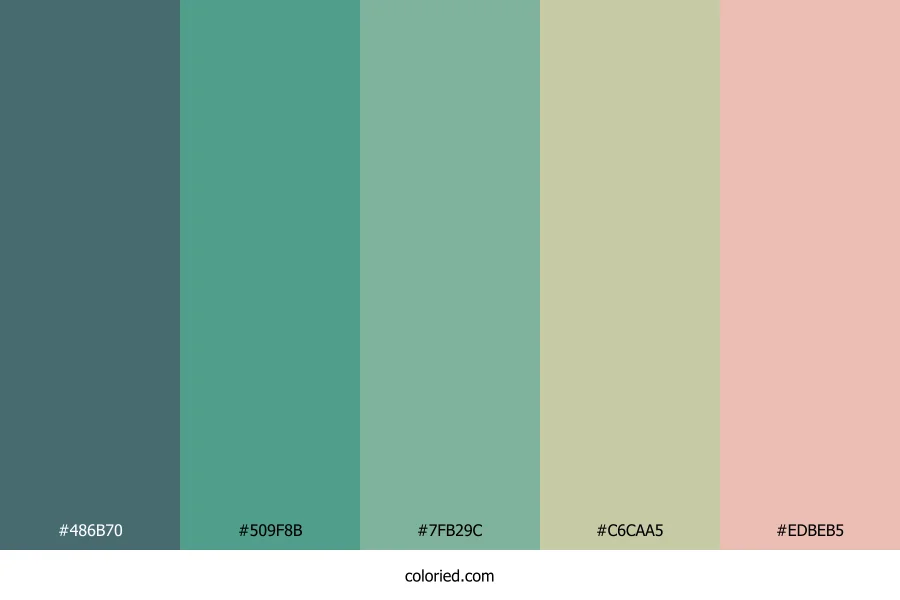 Coastal Sage Tide Color Palette
