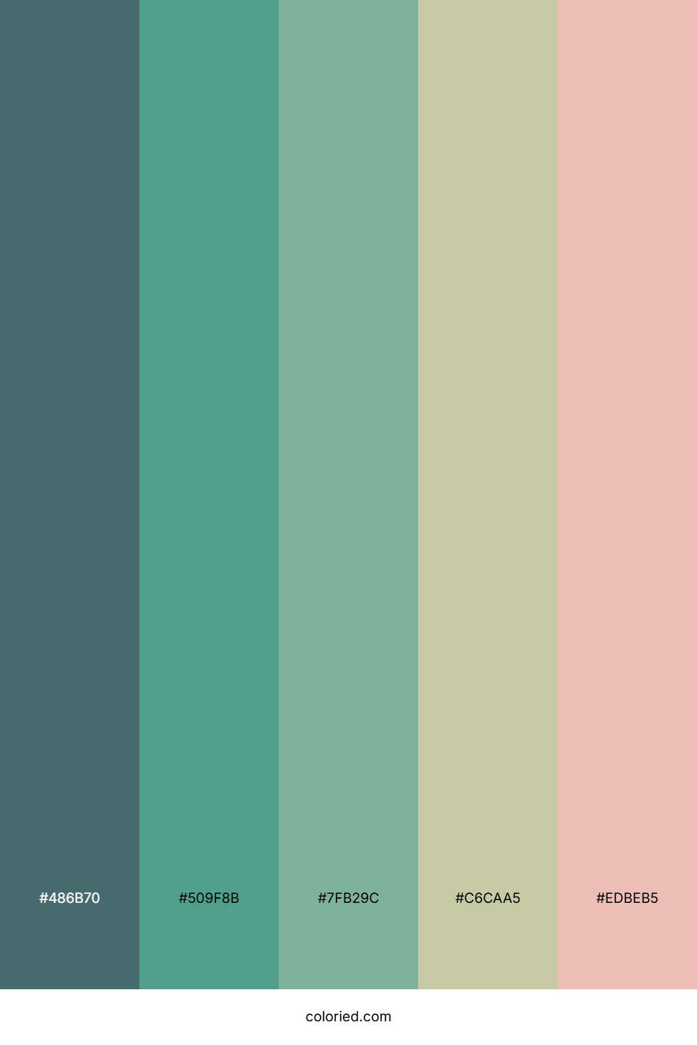 Coastal Sage Tide Palette