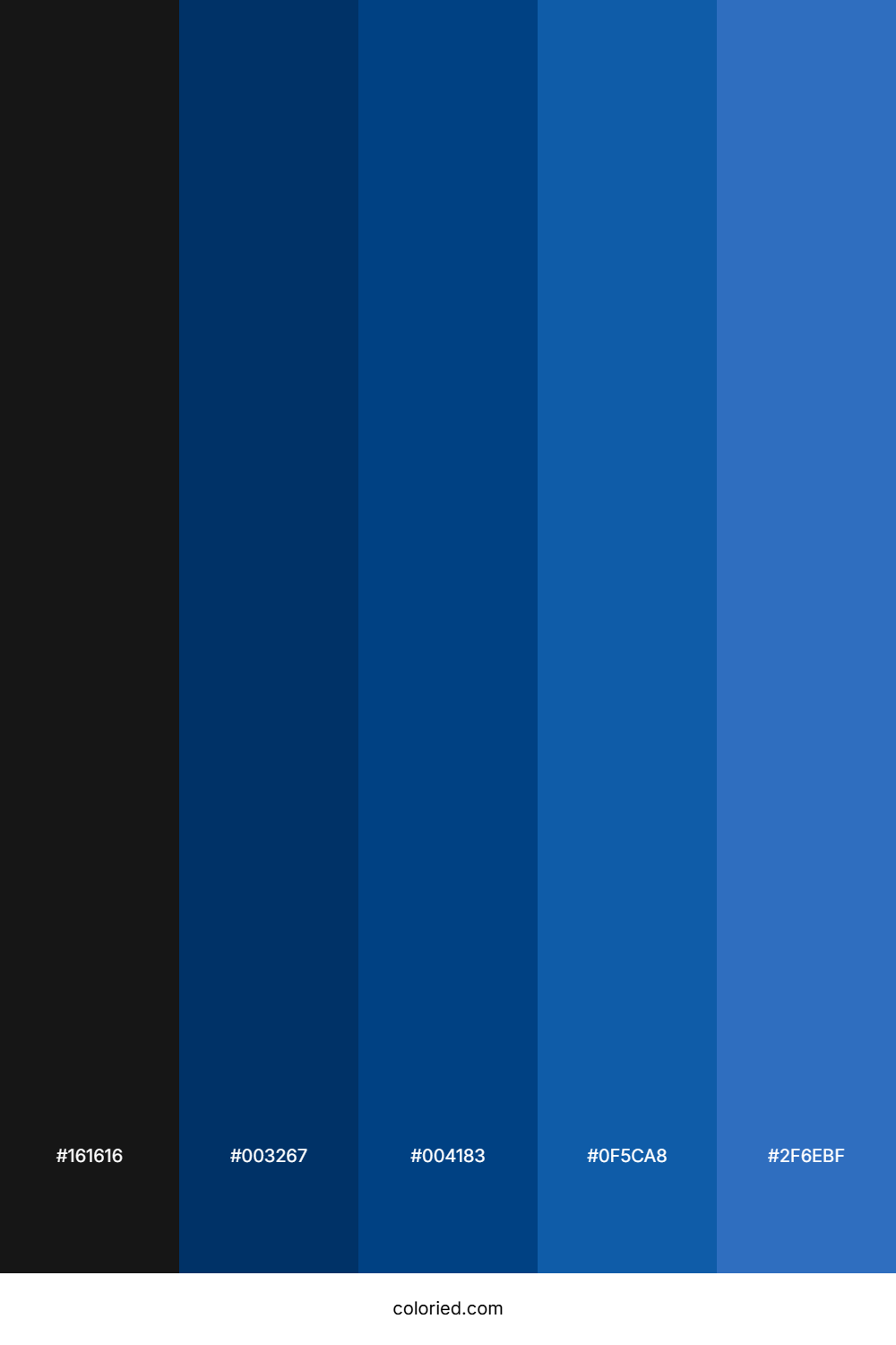 Cobalt and Onyx Color Palette