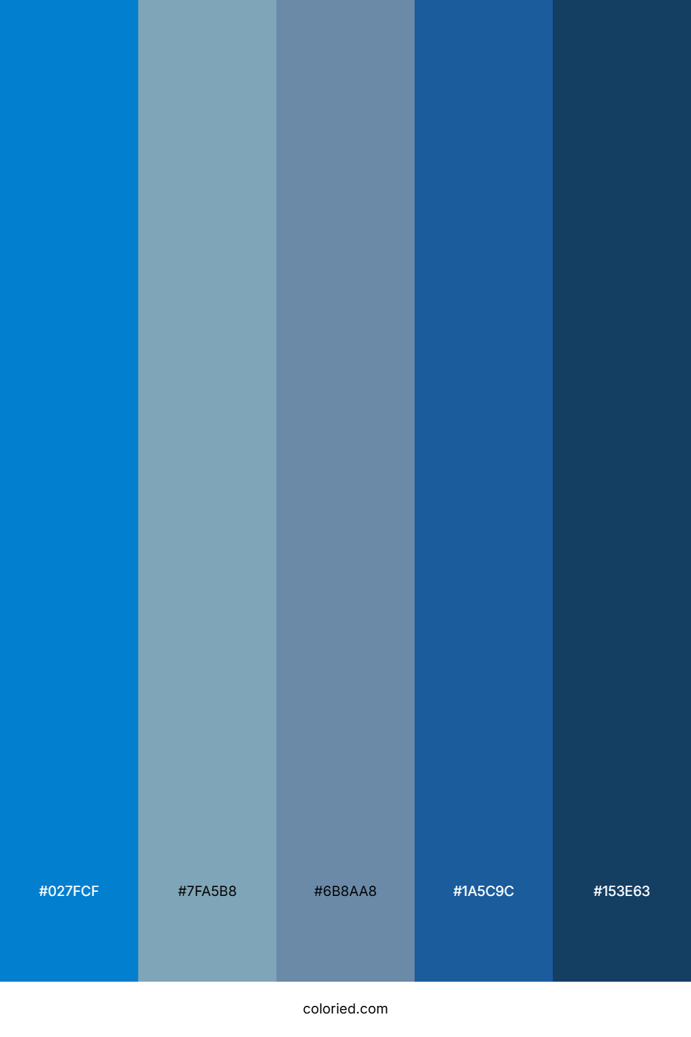 Cobalt Blue and Steel Blue Color Palette