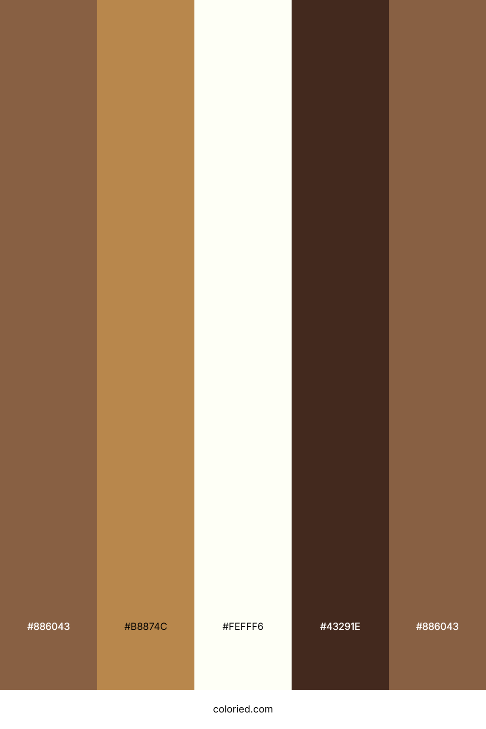 Cocoa And Caramel Color Palette