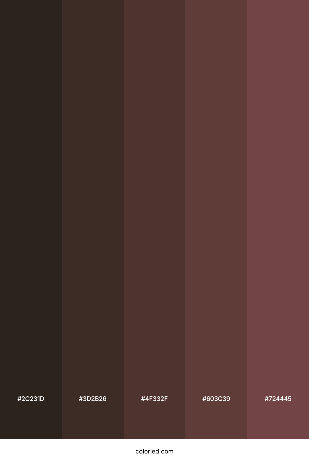 Cocoa And Charcoal Color Palette