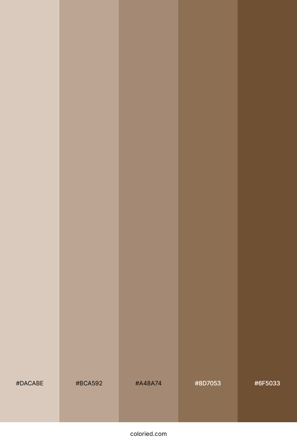 Cocoa and Mocha Color Palette