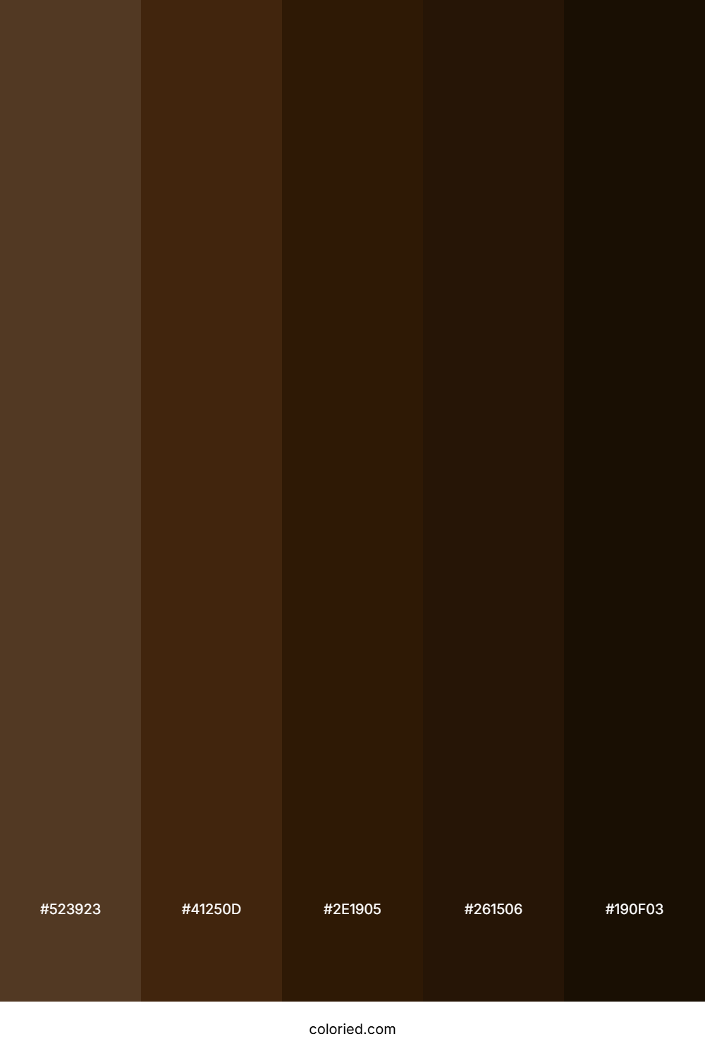 Cocoa Bean Palette