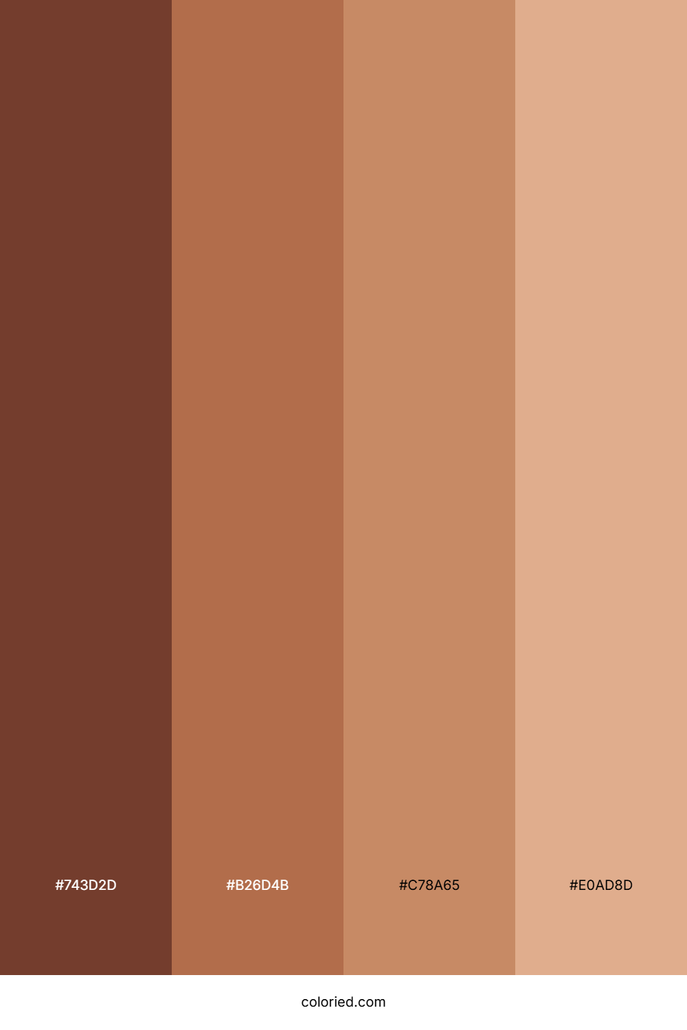 Cocoa Brown and Sandy Beige Color Palette