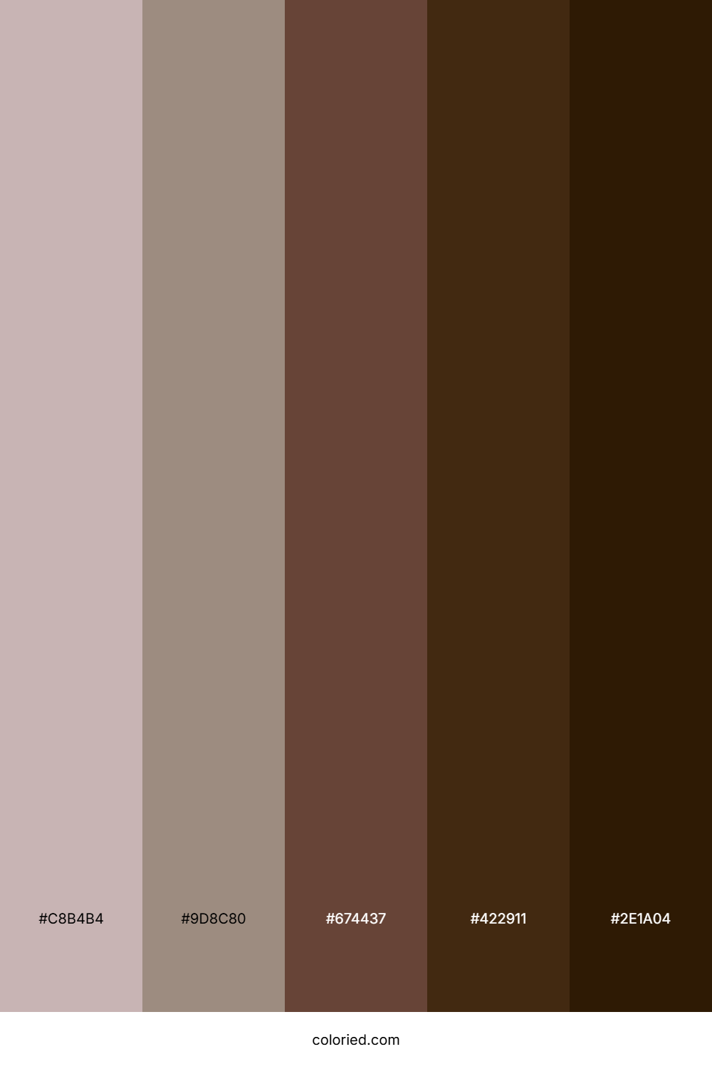Cocoa Brown and Walnut Color Palette