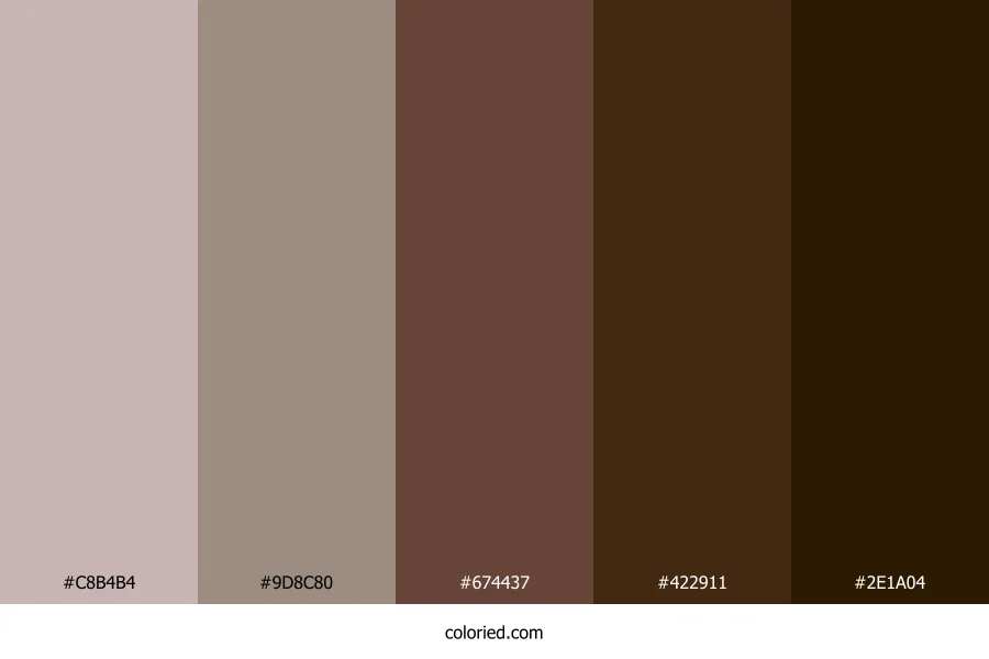 Cocoa Brown and Walnut Color Palette