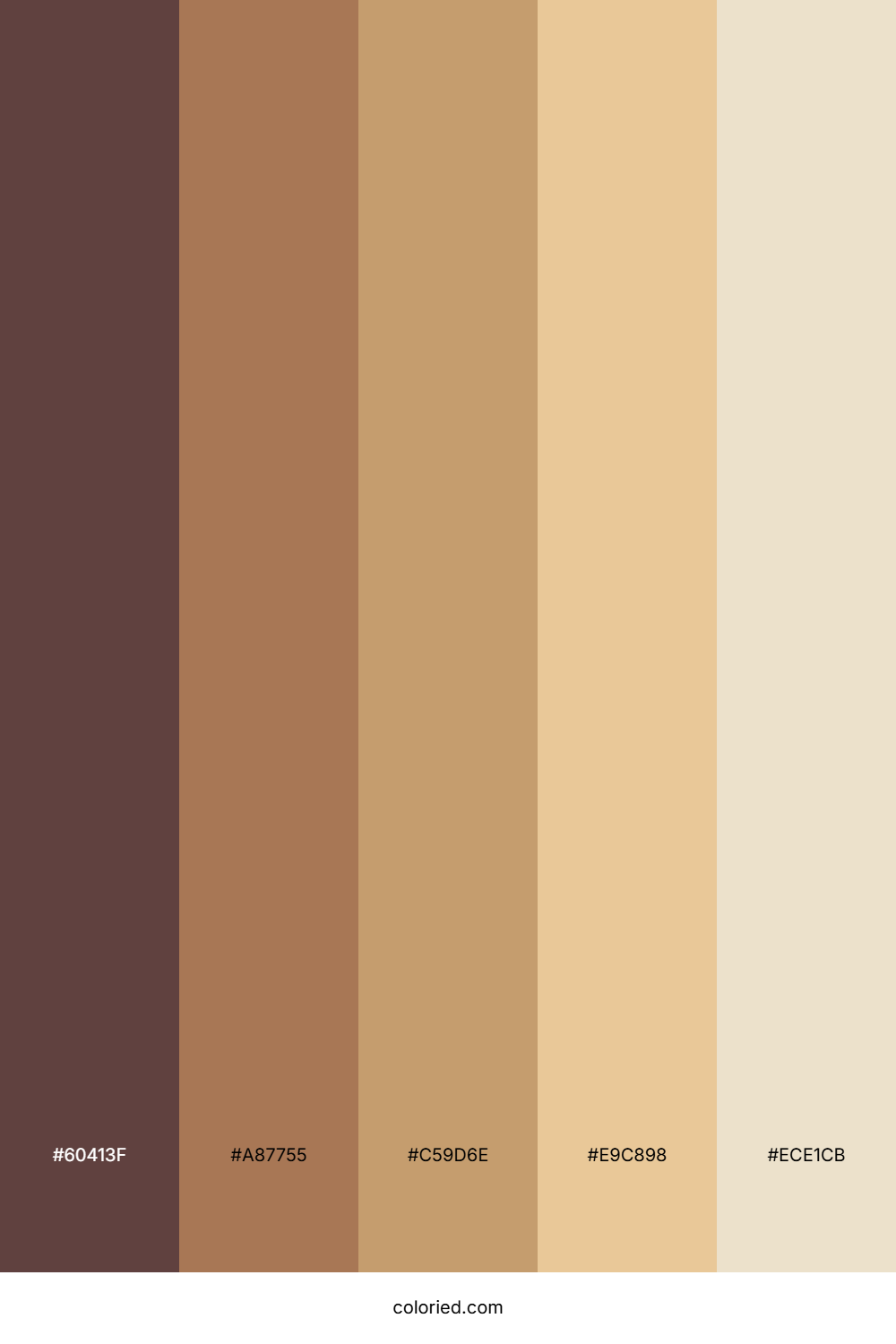 Cocoa Brown and Wheat Color Palette