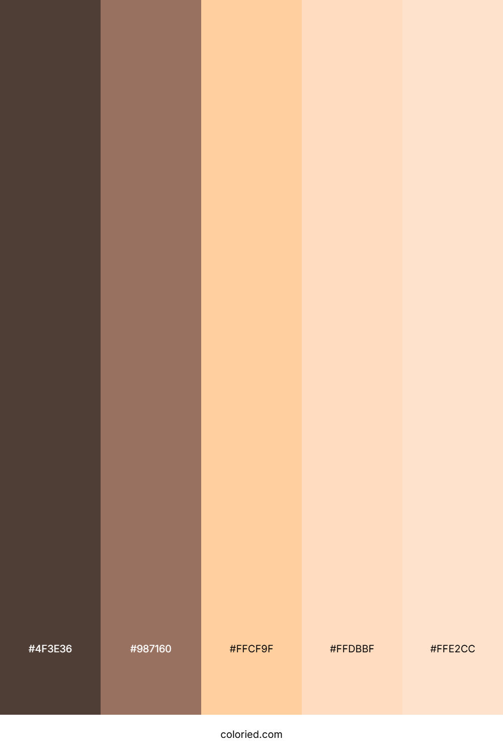 Cocoa Caramel Drift Color Palette