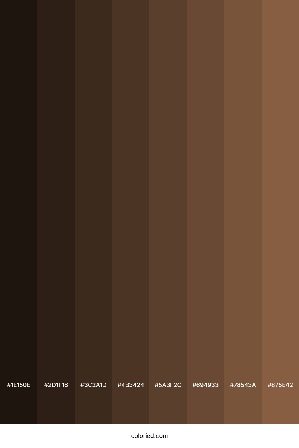 Cocoa Color Shades