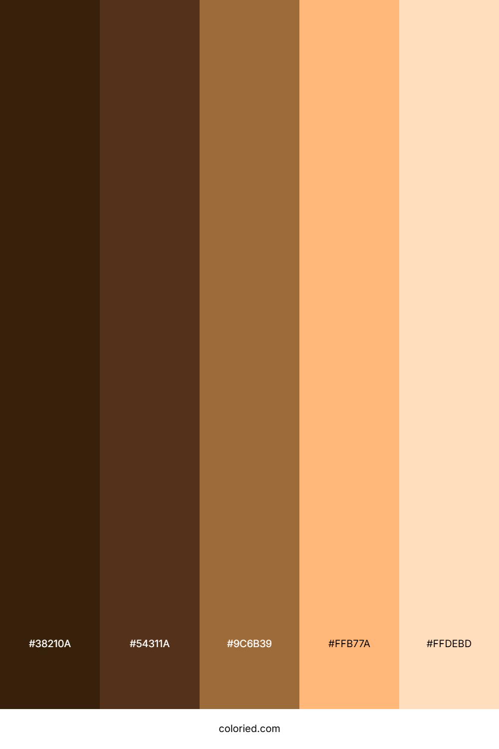 Cocoa Honey Tan Color Palette