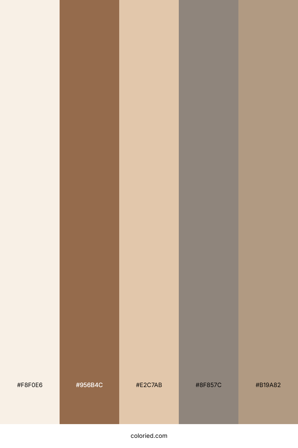 Cocoa Mocha Drift Color Palette