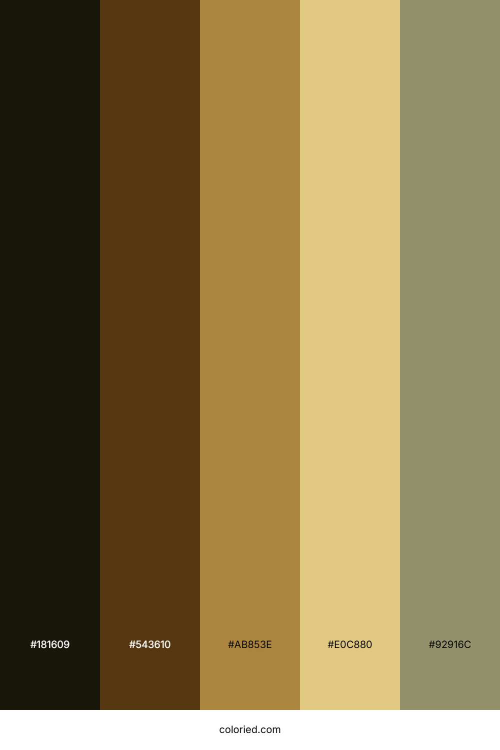 Cocoa Olive Sunrise Color Palette